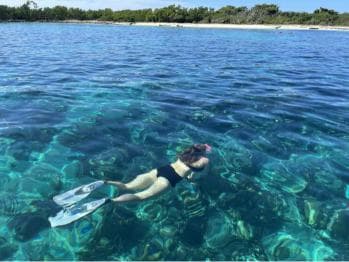 From Punta Cana: Small Group Catalina Island Snorkeling Tour