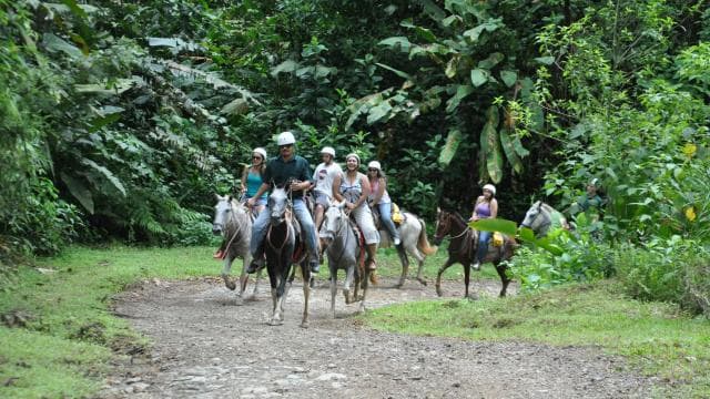 Quepos: Horseback Riding to the Shaman Waterfalls