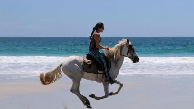 Guanacaste: Safari & Buenavista Beach Horse Riding Tour