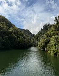 Bonao: Hike to Hidden Tropical Waterfalls with Locals