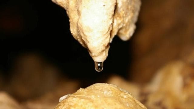 From La Fortuna: Venado Caves Exploration - Small Group Tour