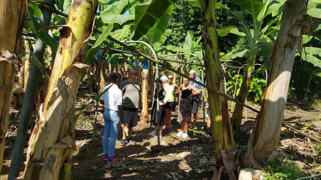 Puerto Limon: City Highlights and Cahuita National Park Tour