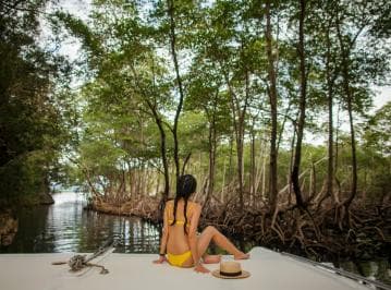 Los Haitises: Caves, Mangroves, & Rainforest Hike/Boat Tour