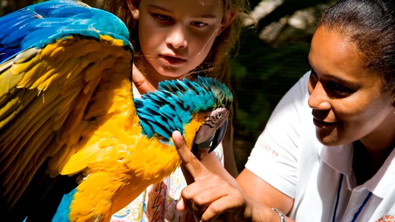Puerto Plata Ocean World Adventure Park Taino bay Amber cove