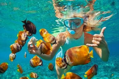 Puerto Plata: Sosúa Catamaran Day Trip with Lunch and Drinks