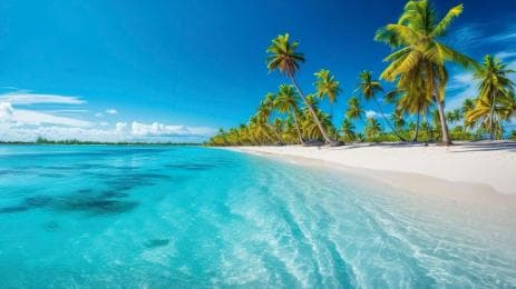 From Punta Cana: Samaná Cayo Levantado and Waterfall + Whale Watch