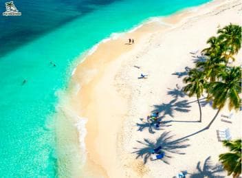 Punta Cana: Samana safari between waterfalls and beaches
