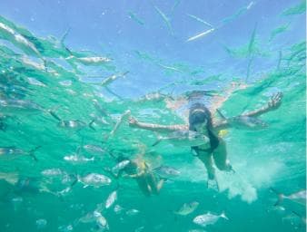 Punta Cana: Reef Explorer Access w/ Sharks & Stingrays Swim