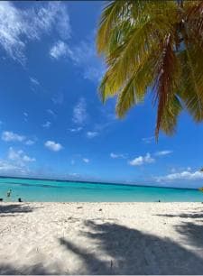 Saona Island VIP: 4 Beaches , Mano Juan & Canto de la Playa