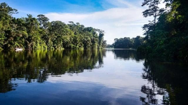 Tortuguero National Park: Kayak Tour with Guide