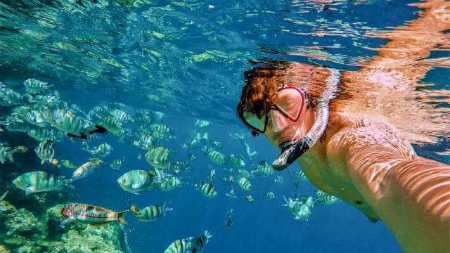 Catalina Island and Snorkeling Tour
