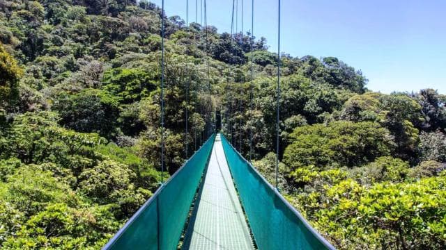 San Jose: Monteverde Sky Tram & Hanging Bridges Day Tour