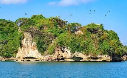 Private: Samaná Bay, El Limón, & Cayo Levantado Tour
