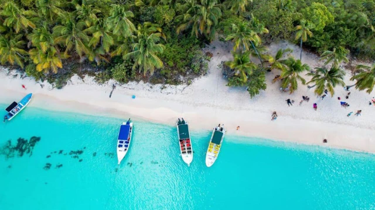 Punta Cana: Saona Island Day Trip with VIP Option