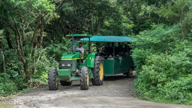 Rincón de la Vieja: Eco Adventure 12-in-1 Day Pass