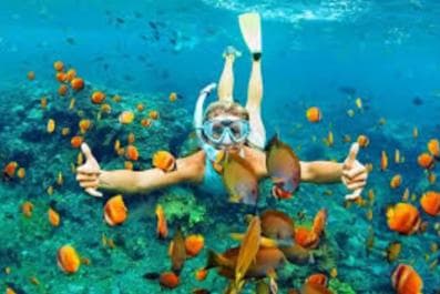 Punta Cana: Catalina Island and Snorkel For Small Group