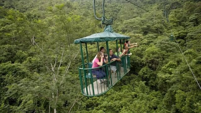 From Jaco: Aerial Tram Tour including Transportation