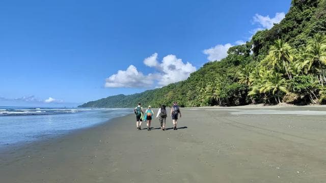 Corcovado National Park: Guided Hiking Tour - Full Day