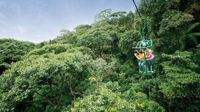 From San Jose: Rainforest Atlantic Aerial Tram Tour