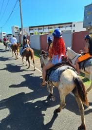 Punta Cana: Guided Horseback Tour of Beaches and Fields