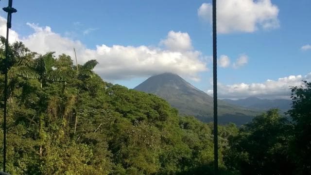 Costa Rica: Mistico Hanging Bridges Guided Tour