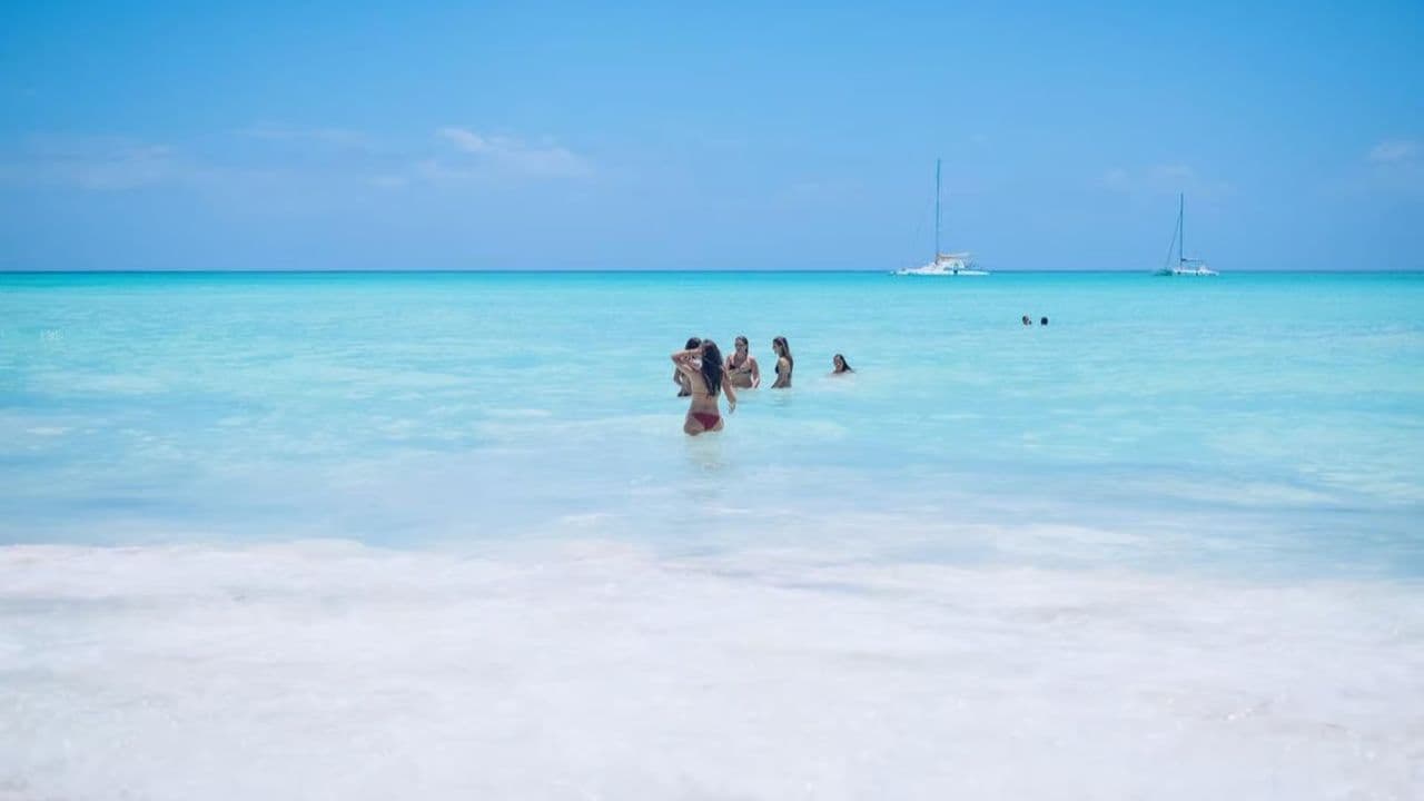 From Punta Cana: Saona Island Day Trip with Buffet Lunch
