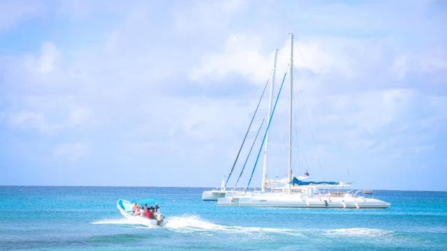 Punta Cana: Saona Island Catamaran