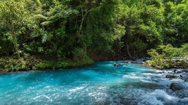 Ticket to Rio Celeste Waterfall & Tenorio National Park