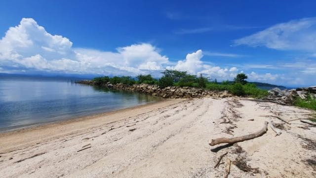 From Puntarenas: Bioluminiscence Boat Tour with BBQ & Drinks