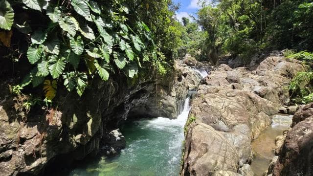 Fajardo: Rainforest guided adventure