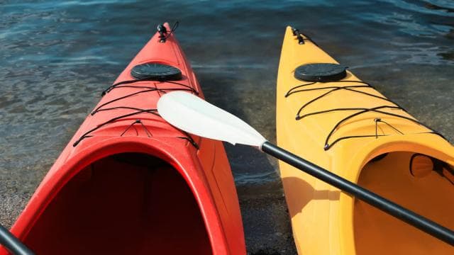 Kayaking Adventure: a 2-hour Wildlife Escape