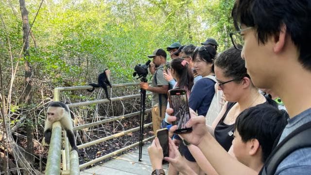 Manuel Antonio National Park: Animal watching hike