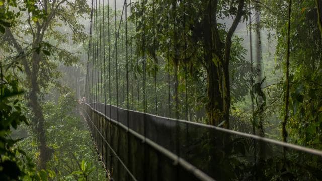La Fortuna: Arenal Volcano, Hanging Bridges & Waterfall Tour
