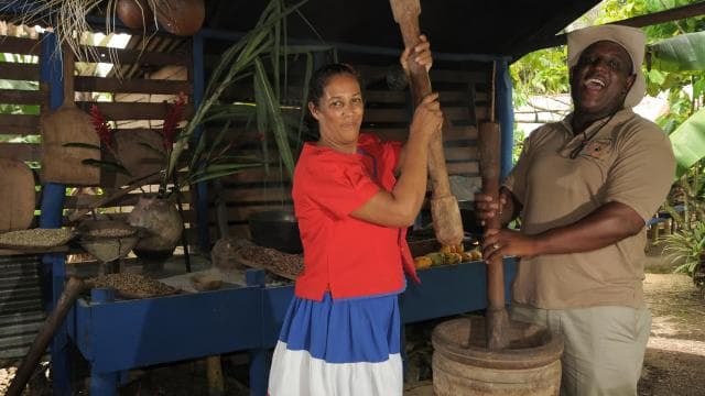 Cultural Safari from Punta Cana