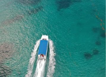 Saona Island: Full-Day Boat Tour All Inclusive
