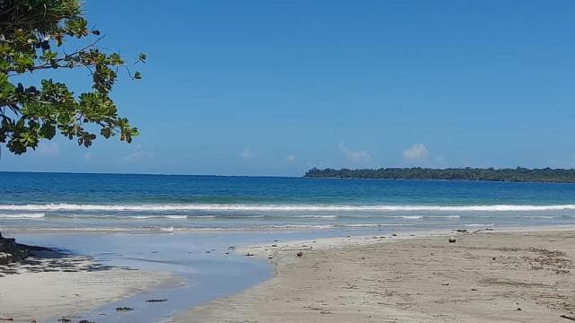 Cahuita national park : guiding tour with Pablo