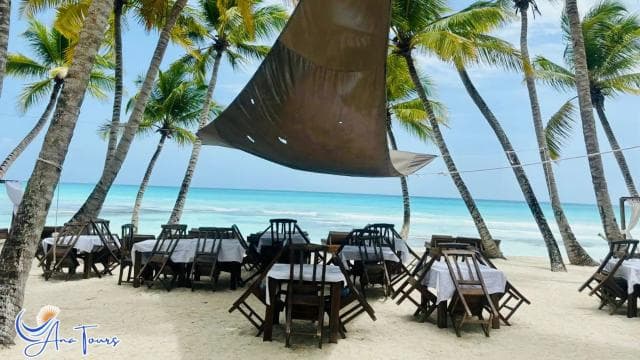 Catamaran Tour to Saona Island with Tropical Buffet Lunch