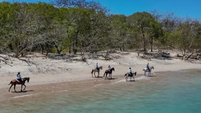 Horseback Riding & Massages Beach Tour