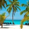 Full-Day Saona Island Tour by Speedboat
