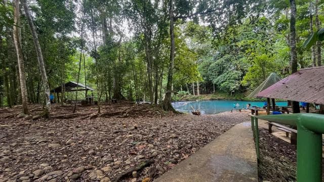 Rio Celeste: Natural Pool in the forest