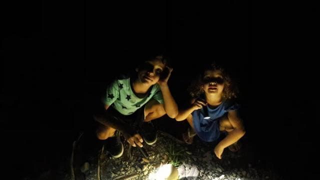 Uvita: Private Nature & Wildlife Night Tour Tropical Forest