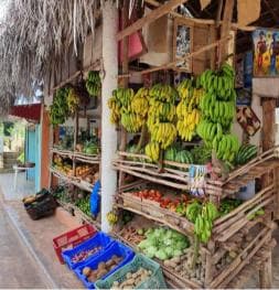 Punta Cana: Samana safari between waterfalls and beaches