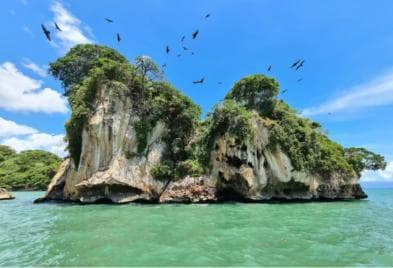 Los Haitises: Hiking and Kayaking natural pools Tour & Lunch