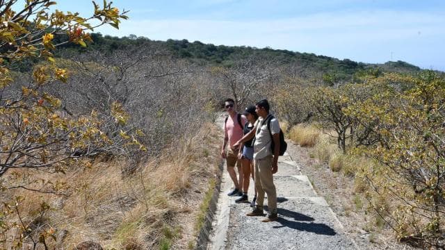 Rincón de la Vieja: Las Pailas trail + Oropendola