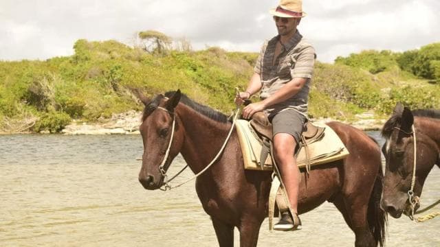Horseback riding, coffee, chocolate tasting and Macao beach
