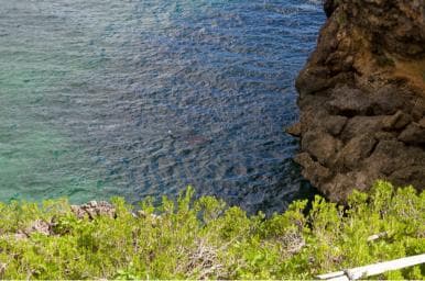 Samana Bay: Cayo Levantado Snorkeling and Kayaking Tour