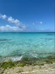 Saona Island VIP: 4 Beaches , Mano Juan & Canto de la Playa