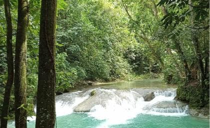 Puerto Plata: Taino Valley and Dominican Flavor Experience