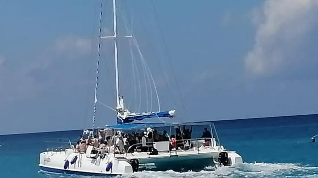 From Punta Cana: Saona Island Tour with Transfer and Lunch