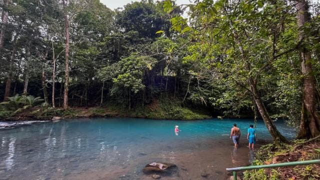 Rio Celeste: Natural Pool in the forest